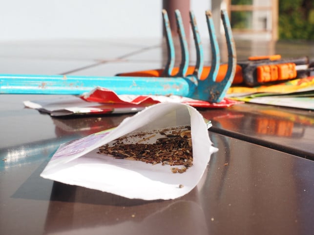 die-harke-ist-ein-nuetzliches-werkzeug-beim-aussaeen-cc0-pixabay-hans-201229_download Die Harke ist ein nützliches Werkzeug beim Aussäen von Samen für die Magerwiese.