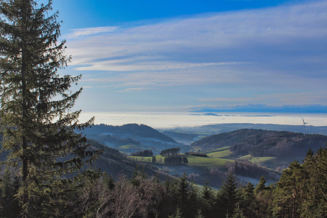 zum-fernwandern-in-deutschland-eignet-sich-etwa-de-cc0-pixabay-eliasphotography-250406_download Zum Fernwandern in Deutschland eignet sich etwa der Westweg im Schwarzwald.
