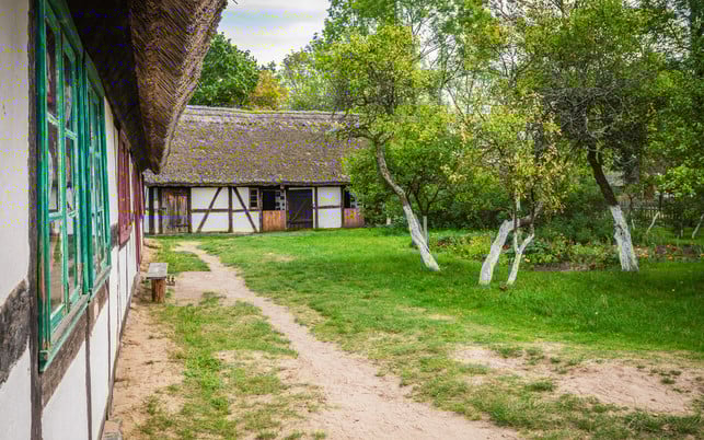 Old wooden house in Kluki, Poland Auch an heißen Sommertagen kann Kalkfarbe Bäume vor Sonnenbrand bewahren.