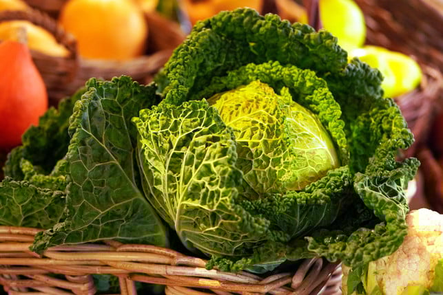 auch-gebacken-schmeckt-wirsing-gut-cc0-pixabay-matthiasboeckel-250312_download Auch gebacken schmeckt Wirsing gut.