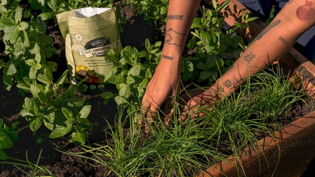 03_toom_DAY02_Valentine_03_0208_1920x1080px Selbstversorger Balkon Garten Bio-Gärtnern