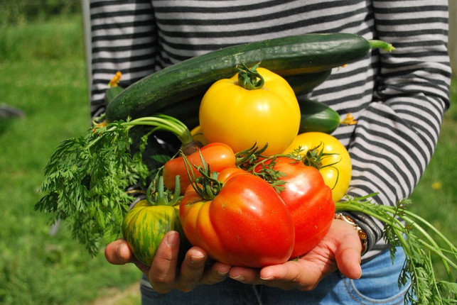 im-garten-ziehst-du-pflanzen-gross-und-erlebst-dadu-cc0-pixabay-jf-gabnor-210410_download Im Garten ziehst du Pflanzen groß und erlebst dadurch Selbstwirksamkeit.
