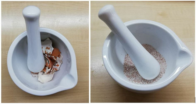 mit-einem-moerser-kannst-du-die-eierschalen-zermahl-victoria-clauss-utopia-210630_download Mit einem Mörser kannst du die Eierschalen zermahlen.