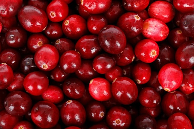 der-saft-der-moosbeer-gilt-als-wahrs-wundermittel-cc0pixabaypublicdomainpictures-170708 Der Saft der Moosbeer gilt als wahrs Wundermittel gegen Blasenntzündung