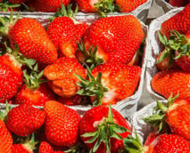 Erdbeerzeit: Wann haben Erdbeeren Saison?