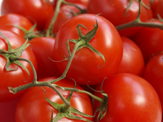 Tomatoes belong in every gazpacho soup.