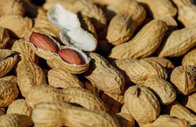 nuesse-stellen-ebenfalls-einen-guten-proteinliefera-cc0-pixabay-couleur-220822_download Statt veganem Proteinpulver stellen auch Nüsse einen guten Proteinlieferanten dar.