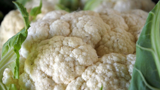 blumenkohl-lagern-cc0-pixabay-evstiforova-221024 blumenkohl lagern