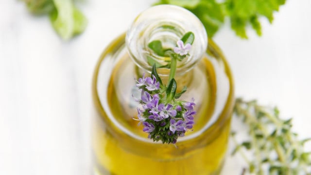 thymian-hustensaft-cc0-pixabay-silviarita-200209-1 Thymian Hustensaft