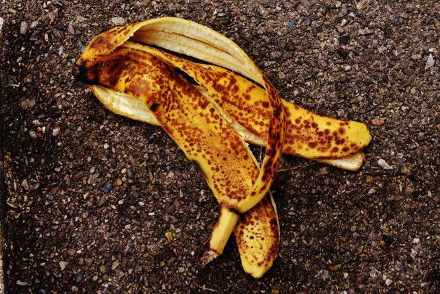 bananenschalen-von-bio-bananen-kannst-du-auf-dem-k-cc0-pixabay-alexas_fotos-250310_download Bananenschalen von Bio-Bananen kannst du auf dem Kompost entsorgen.