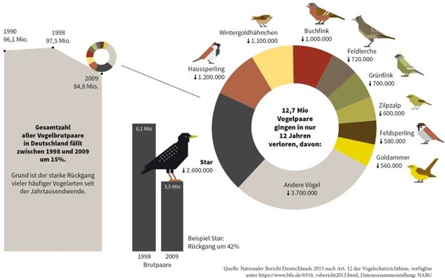 Vogelschwund-z-nabu-171020-640x400 Vogelschwund Vogelsterben Nabu
