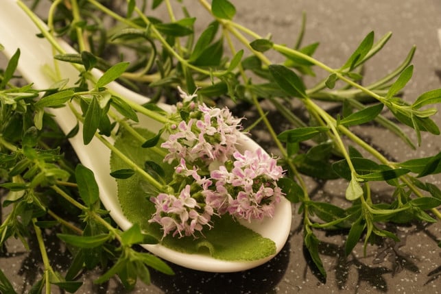 The health-foer-efferving-effect-von-thymian-custle-cc0-pixabay photo-25325_download The health-promoting effect of thyme cough juice is based on ingredients such as thymol.