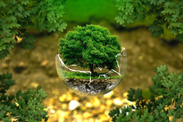 nachhaltige-etf-gut-fuer-die-umwelt-cc0pixabayejaugsburg-190309_download Nachhaltige ETF gut für die Umwelt.