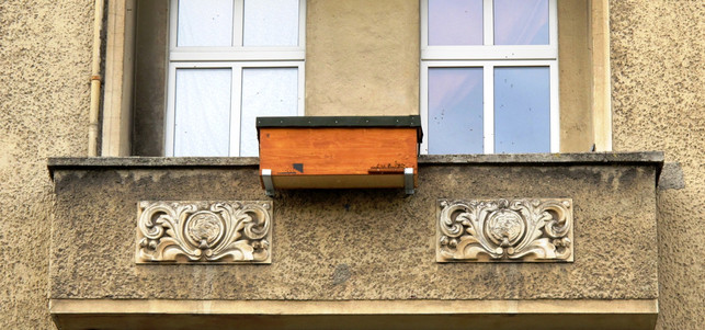 Bienenbox Imkern Balkon Bienenbox Imkern Balkon