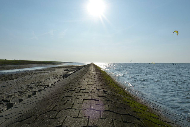 deiche-veraendern-den-lebensraum-meer-und-koennen-da-cc0-pixabay-routenwechsel-220717_download Deiche verändern den Lebensraum Meer und können damit dem Seegras schaden.