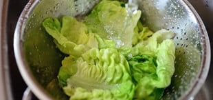 Jeden Tag Salat essen: Die Folgen