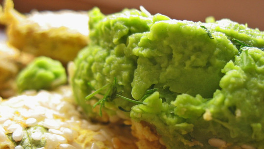 cc0-pixabay-czendon-200119