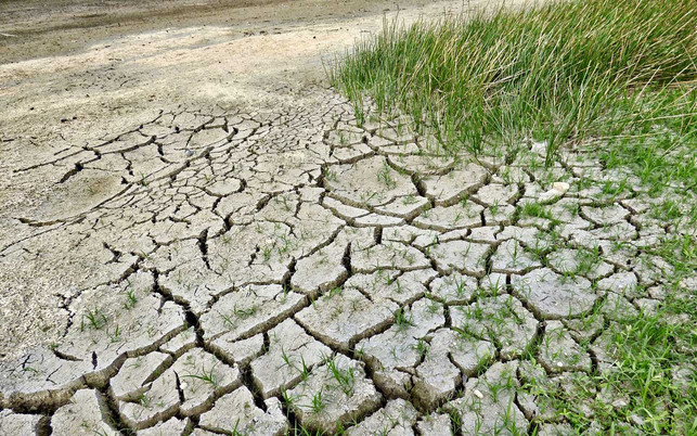 Pflanzenwachstum Dürre CO2 mag Pflanzen nützen, der Klimawandel tut es nicht