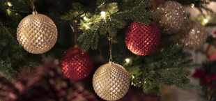 Wann Weihnachtsbaum kaufen?