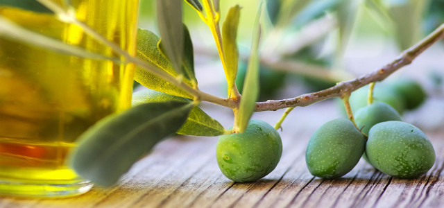 Gutes Olivenöl erkennen: 10 Tipps