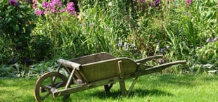 Essig ist auch im Garten von Nutzen