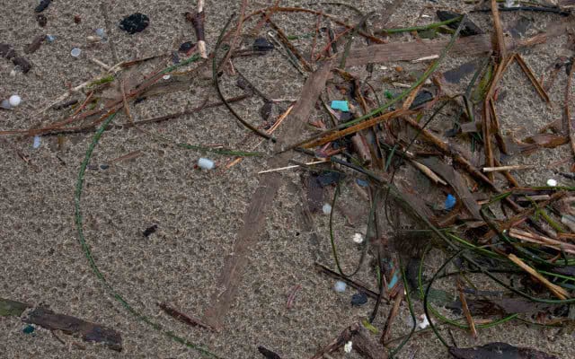 170722-plastikmuell-mikroplastk-strand-x_IMG_9153_Laura_cc-by-2.0_1280x800 Mikroplastik – Plastikteile, die klener sind als 5 mm – stellen den größten TEil des Plastikmülls in den Meeren dar.