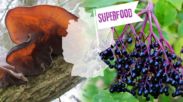 superfood-regional-pbx-naturgucker-de-170222-1280x720 Diese regionalen Superfoods kosten dich keinen Cent