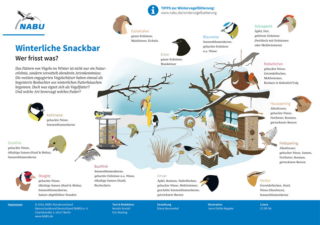 voegel-fuettern-schaubild-nabu-z-cc-by-sa-211223 Vögel richtig füttern: NABU-Schaubild – Wer frisst was?