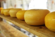 greif-lieber-zu-einem-natuerlich-gereiften-kaese-als-cc0-pixabay-publicdomainpictures-190527_download Greif lieber zu einem natürlich gereiften Käse als zu Schmelzkäse.
