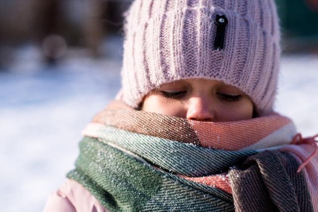 der-zwiebellook-haelt-warm-cc0-pixabay-mitrey-230127_download Der Zwiebellook hält warm.