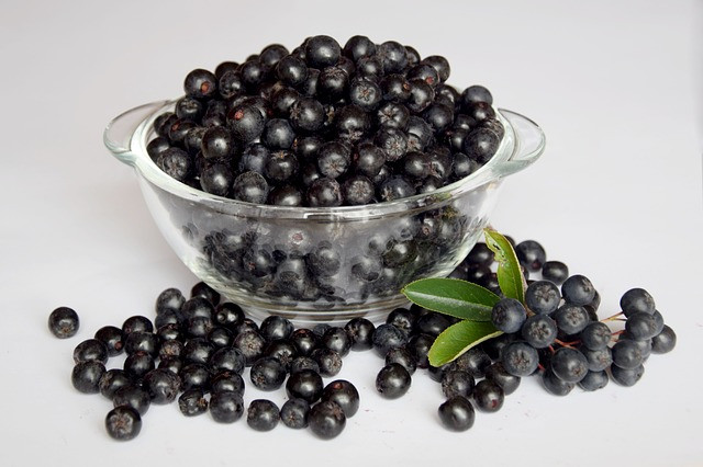 aronia-1589385_640 Aronia - Apfelbeere