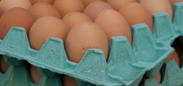 eier-charge_pb_170317-1280x859 Braune Eier Bodenhaltung