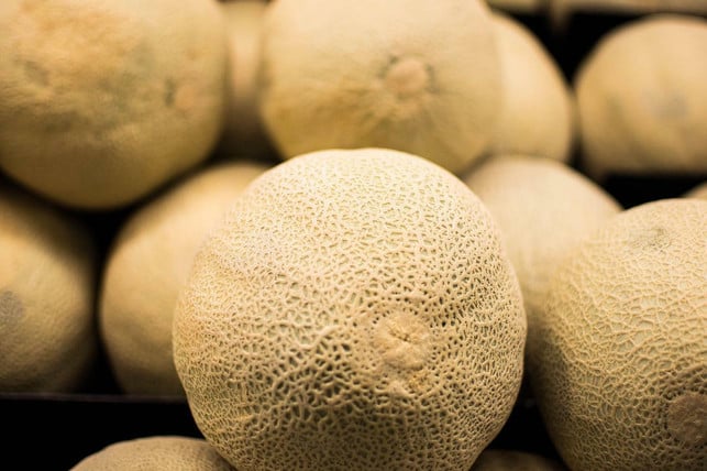 die-cantaloupe-melone-ist-gemuese-kein-obst-cc0-pixabay-droberson-220809_download Die Cantaloupe-Melone ist Gemüse, kein Obst.