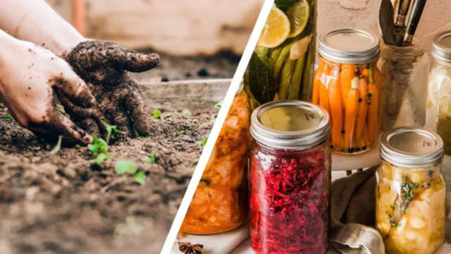 selbstversorger-werden-cc0-public-domain--unsplash--sandie-clarke-broo-251230 selbstversorger werden