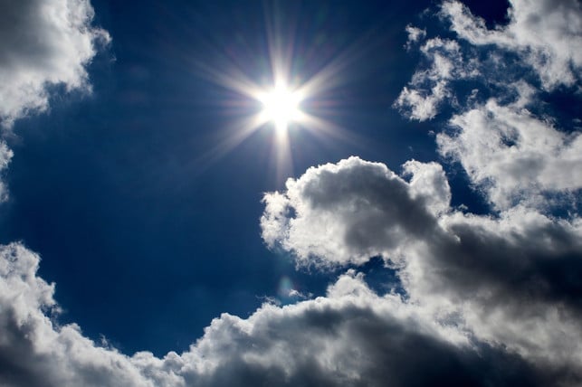 am-besten-trocknet-loewenzahn-in-der-sonne-cc0-pixabay-geoffreydc-240517_download Am besten trocknet Löwenzahn in der Sonne.