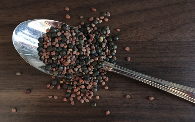 sprossen-ziehen-u-loeffel-161107-1280x800 Sprossen ziehen: so einfach gelingt es zu Hause