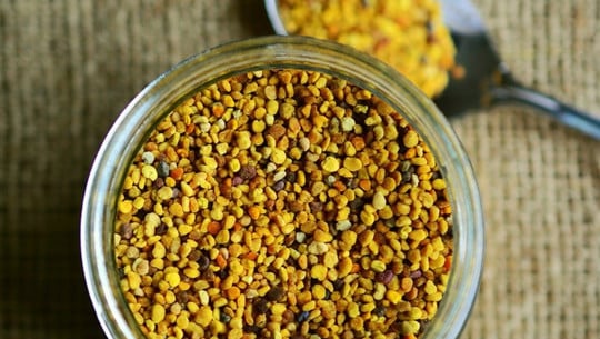 bluetenpollen-biene-superfood-cc0-pixabay-congerdesign-200110 Blütenpollen Biene Superfood