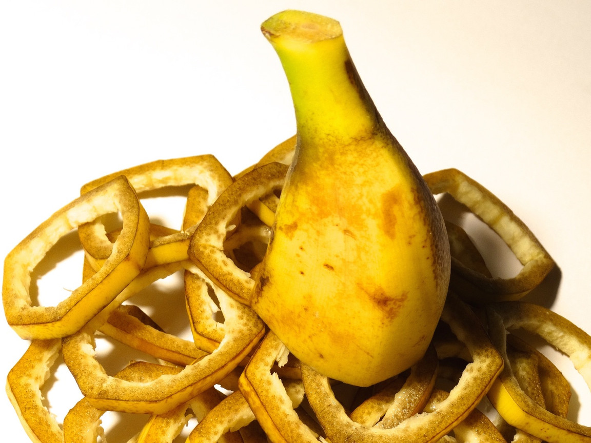 Bananenschale nicht wegwerfen: Diese Gartenblume kannst du damit dngen -  Utopia.de
