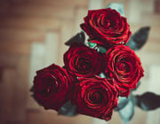 Statt Billig-Rosen: Bio-Blumen und Fairtrade-Blumen zum Valentinstag
