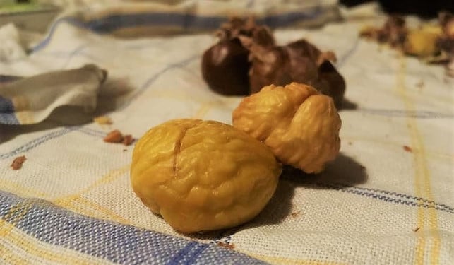 endlich-befreit-die-gelbe-suess-nussige-frucht-matthias-schulz-181016_download Endlich befreit: die gelbe, süß-nussige Frucht.