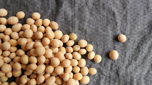 soja-allergie-cc0-pixabay-jing-190223 soja allergie