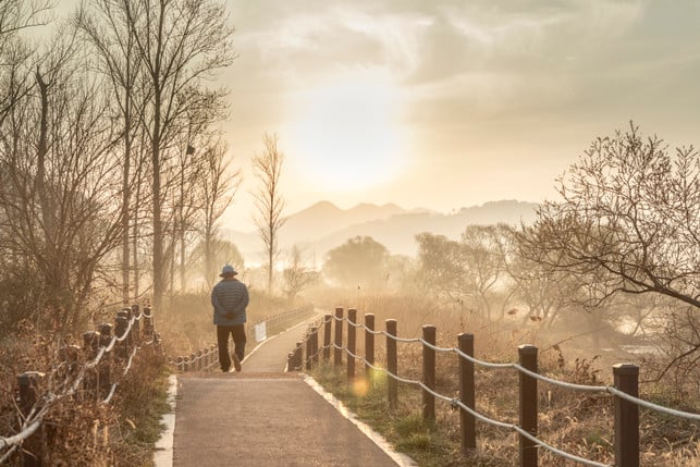 Japanese-I is-actual-in-Japan-Year-Year-Cc0--Pixabay-Kimjaesub-2250902_Download Japanese walking has been a popular fitness trend in Japan for years.