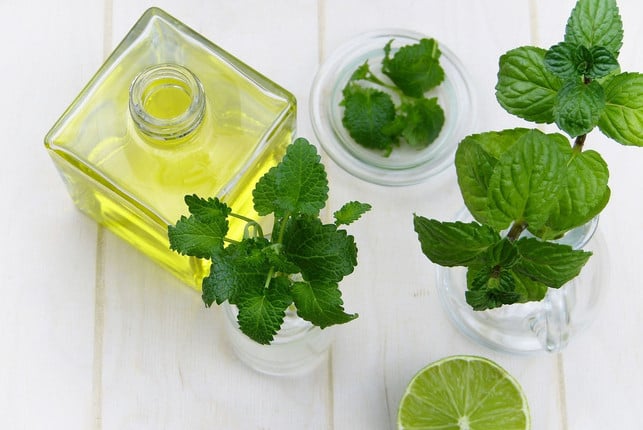 mit-aetherischen-oelen-oder-frischen-kraeutern-kannst-cc0-pixabay-silviarita-200909_download Mit ätherischen Ölen oder frischen Kräutern kannst du ein Bodyspray schnell und einfach zu Hause herstellen.