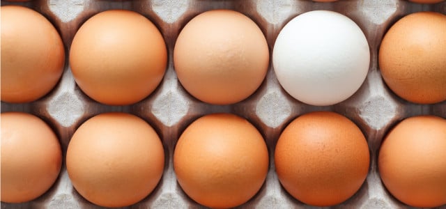Bio-Eier, Freilandeier, Eier aus Bodenhaltung – welche Eier soll ich kaufen?