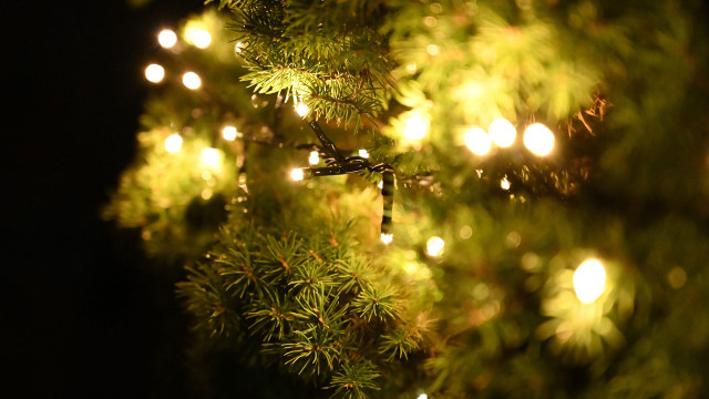 lichterkette-energie-pb-lenbernhard Lichterkette: Helligkeit und Farbe beeinflussen Verbrauch