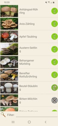 die-pilze-app-ist-klar-aufgebaut-screenshot-chantal-gilbrichutopia-200213_download Die "Pilze App" ist klar aufgebaut.