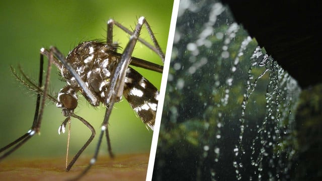 Vorbereitung statt Panik: So rüstest du dich für die Klimakrise – 7 Tipps Vorbereitung statt Panik: So rüstest du dich für die Klimakrise – 7 Tipps