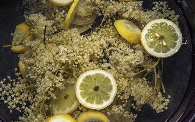holunderbltensirup-selber-machen-ist-ganz-einfach-cc0-public-domain-pixabay-wolfblur-170711 Holunderblütensirup selber machen ist ganz einfach. Du brauchst nicht viele Zutaten.