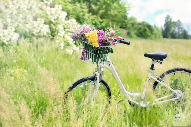 hast-du-eine-unkomplizierte-schwangerschaft-kanns-cc0--pixabay--jillwellington-250608_download Hast du eine unkomplizierte Schwangerschaft, kannst du theoretisch bis zum Schluss Fahrrad fahren.
