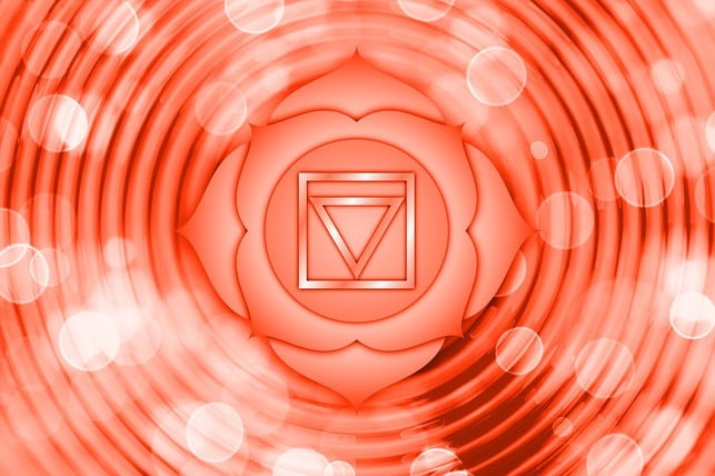 das-1-chakra-liegt-am-unteren-ende-der-wirbelsaeul-cc0-pixabay-geralt-181215_download Das 1. Chakra liegt am unteren Ende der Wirbelsäule und repräsentiert die Basis, die Erdung.
